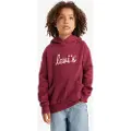 Levi's Sweatshirts Levis LVG POSTER LOGO HOODIE barn 4 år