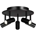 BELID - 5-spot Cato - Sort - Spotlights - - Homeroom