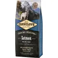 Carnilove Adult Laks - Økonomipakke: 2 x 12 kg