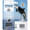 Epson Blæk Ljus Sort T7607