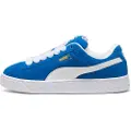 Puma Suede Xi Sko