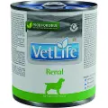 Farmina Vetlife Renal 6x300g Hundefoder