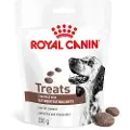 Royal Canin Gastrointestinal Snacks - 230 g