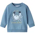 Name it Økologisk Bomuld Sweatshirt