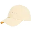 Tommy Hilfiger Linear Logo 6 Panel Kasket