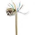 Gembird Fpc-6004-l/100 Cat6 Netværkskabel 100 M