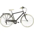 Alpina Sharin Trk 28´´ 6s Cykel
