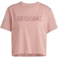 Adidas Terrex Graphic T-shirt Med Korte ærmer