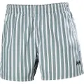 Helly Hansen Newport Badeshorts