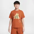 Nike ACG-Dri-FIT-T-shirt til større børn - brun