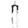 Rst Aerial Disc Qr 9x100 Mm Mtb-forgaffel