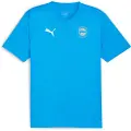 Puma Deportivo Alavés Team Final 24/25 Træning Junior T-shirt Med Korte ærmer