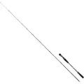 Daiwa Saltist Tenya Baitcastingstang