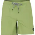 Protest Faster Badeshorts