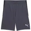 Puma individualLIGA Training Shorts Men, Sport, Galactic Gray/Yellow Alert, XXL