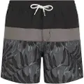 O'Neill Cali Block 15'' Boardshorts sort
