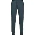 Jack & Jones Will Tech Sportsbukser