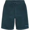 O'Neill Cord Shorts grå