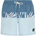 O'Neill Cali Block 15´´ Badeshorts