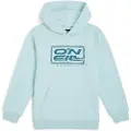 O'Neill Logo Hættetrøje