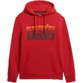 Superdry Stacked Hættetrøje