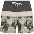 O'Neill Cali Block 15´´ Badeshorts