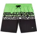 O'Neill Cali Stripe 14´´ Badeshorts