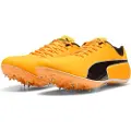 Puma evoSPEED Sprint 14.5 Running Shoes, Shoes, Sun Stream/Black/White, 39
