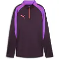 Puma IndividualBLAZE 1/4 Zip Football Top Women, Clothing, Midnight Plum, XL