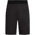 La Sportiva Flatanger Shorts