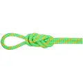 Mammut Alpine Eco Dry 8 Mm Reb