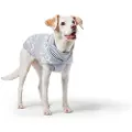 Hunter Birka Hundesweatshirt