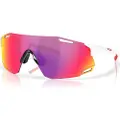Oakley Cybr Dyno Solbriller