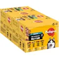 Pedigree Adult Protein Plus Portion Gelé - Økonomipakke: 48 x 85 g (4 Varianter)