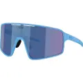 Bliz P001s Solbriller