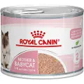 Royal Canin Mother & Babycat vådfoder til katte (mousse)