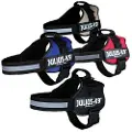 Julius-K9 Powersele 3 - 2XL - Sort