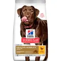 Hill's Pet Nutrition Økonomipakke: 2 poser Hill's Science Plan - Adult 1+ Healthy Mobility Large Kylling (2 x 14 kg)
