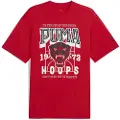 Puma Rival Rage Basketball Tee Men, Clothing, Red, S