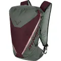 Dynafit Traverse 22l Rygsæk