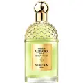 Guerlain Parfumer-til-kvinder Aqua-AllegoriaNerolia Vetiver ForteEau de Parfum Spray 125 ml (5.776,00 kr / 1 l)