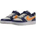 Nike Court Borough Low Recraft Sko