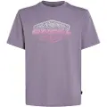 O'Neill Gradient T-shirt Med Korte ærmer