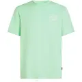 O'Neill Box Logo T-shirt Med Korte ærmer