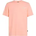 O'Neill Box Logo T-shirt Med Korte ærmer