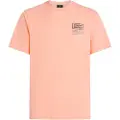 O'Neill Retro Graphic T-shirt Med Korte ærmer