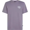 O'Neill Box Logo T-shirt Med Korte ærmer