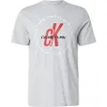 Calvin Klein Jeans Calvin Klein Jeanstil mænd. LV04RC850G Macro Circle T-shirt grå (S), Casual, Bomuld, Korte ærmer