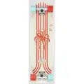 Globe Sidewalk Slider Skateboard mønster
