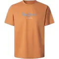 Pepe Jeans Pepe Jeanstil mænd. PM508208 Eggo N T-shirt orange (M), Casual, Bomuld, Korte ærmer, Bæredygtig